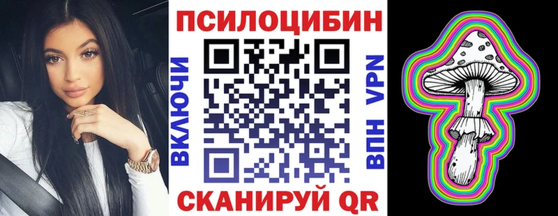 Галлюциногенные грибы мухоморы  наркотики  Заводоуковск 
